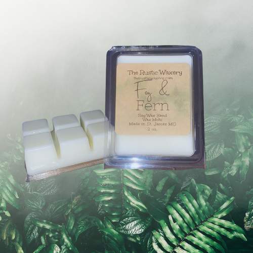 Fog & Fern